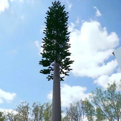 12 18 24M Park Scenic Bionic Tree Gian bọc thép tự hỗ trợ ngoài trời 5G 4G Wifi Telecom Tower