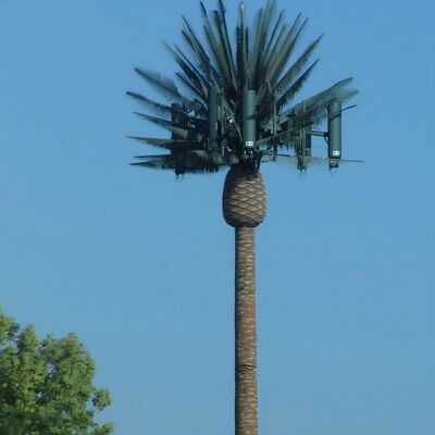 Bionic Tree Communication Tower Thép kẽm 25m 5G Signal Khu vực cảnh quan Thiết kế cảnh quan