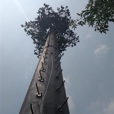 18 27 Tháp viễn thông cây cọ được ngụy trang 35 mét cho cảnh quan khách sạn nghỉ dưỡng