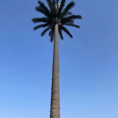10 20 30 40 50 60 70 80 M Hot Dip Galvanized Camouflaged Pole Palm / Pine Micro False Cell Tower Cây 10 20 30 40 50 60 70 80 M