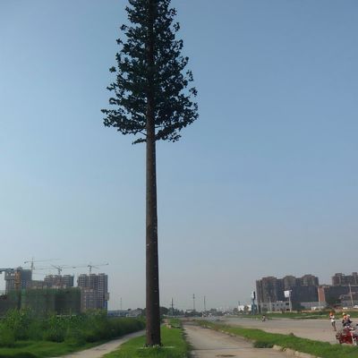 10 20 30 40 50 60 70 80 M Hot Dip Galvanized Camouflaged Pole Palm / Pine Micro False Cell Tower Cây 10 20 30 40 50 60 70 80 M