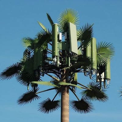 10 20 30 40 50 60 70 80 M Hot Dip Galvanized Camouflaged Pole Palm / Pine Micro False Cell Tower Cây 10 20 30 40 50 60 70 80 M
