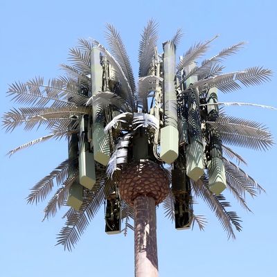 10 20 30 40 50 60 70 80 M Hot Dip Galvanized Camouflaged Pole Palm / Pine Micro False Cell Tower Cây 10 20 30 40 50 60 70 80 M