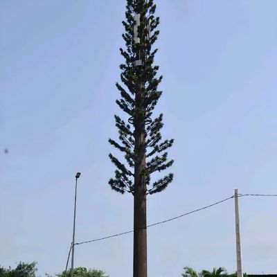 Tháp di động ngụy trang sinh học GSM ăng-ten thép Monopole Tháp viễn thông