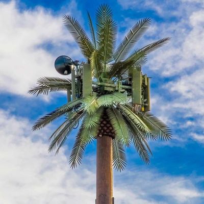 Cây Cây Palm Cây giả Tháp tế bào Phóng hình viễn thông 5-80M