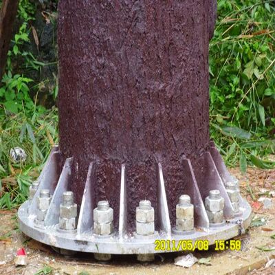 Tháp Cây Bionic Thép Sức mạnh cao được ngụy trang cho 5G Scenic Area Signal Coverage