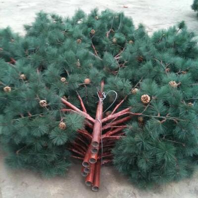 Tháp Cây Sinh học 35M với tùy chọn chiều cao và loài cây tùy chỉnh hỗ trợ ăng-ten 5G, thiết bị vi sóng và cảm biến