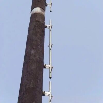 36M Bionic Tree Tower có thân cây nhân tạo bằng sợi thủy tinh bền, nhánh và lá với nền tảng ẩn cho ăng-ten 5G và cảm biến môi trường