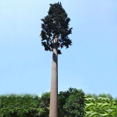 Bionic Tree Tower xây dựng mô-đun có thể tùy chỉnh chiều cao và loài phù hợp với thực vật địa phương cho cơ sở hạ tầng thẩm mỹ