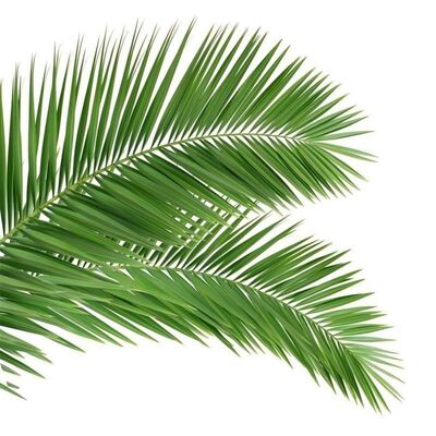 Tháp cây sinh học với ngoại hình giống như cây với các nhánh sợi thủy tinh và thân cây để pha trộn phong cảnh liền mạch