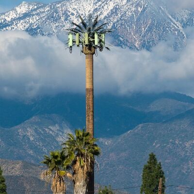 Tháp cây sinh học các thành phần mô-đun tùy chỉnh cho chiều cao và loài cây để phù hợp với các yêu cầu cảnh quan khác nhau