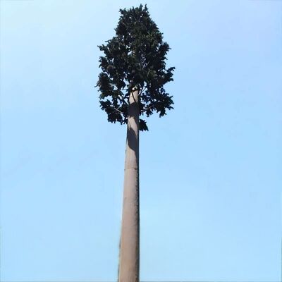 Bionic Tree Tower cường độ va đập nhân tạo KV 27 joules ở các nhiệt độ khác nhau cho độ tin cậy kết cấu