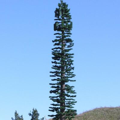 Bionic Tree Tower cường độ va đập nhân tạo KV 27 joules ở các nhiệt độ khác nhau cho độ tin cậy kết cấu