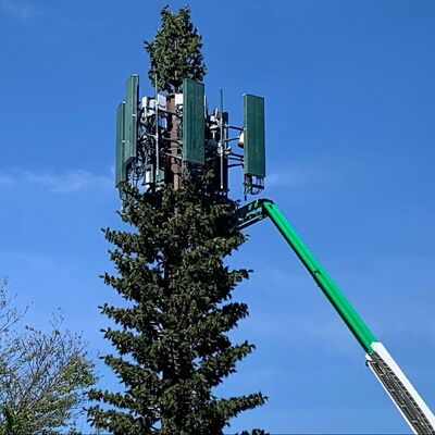 Bionic Tree Tower cường độ va đập nhân tạo KV 27 joules ở các nhiệt độ khác nhau cho độ tin cậy kết cấu
