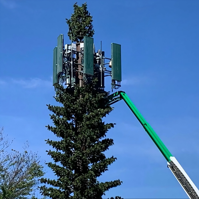 Tháp cây thông Bionic được ngụy trang thân thiện với môi trường cho mạng không dây 5G Tích hợp thẩm mỹ Nhà máy cột truyền thông cây cọ Bionic
