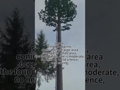 Tháp cây sinh học